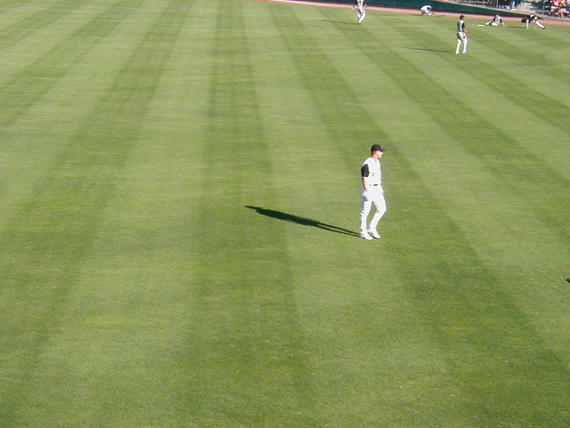 outfield2