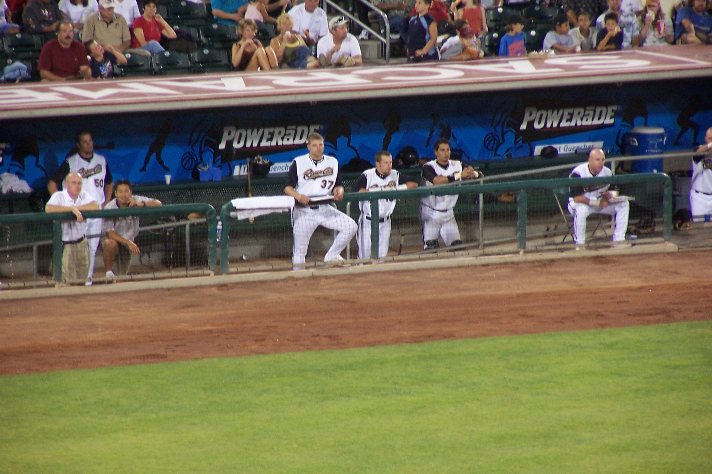 cats dugout